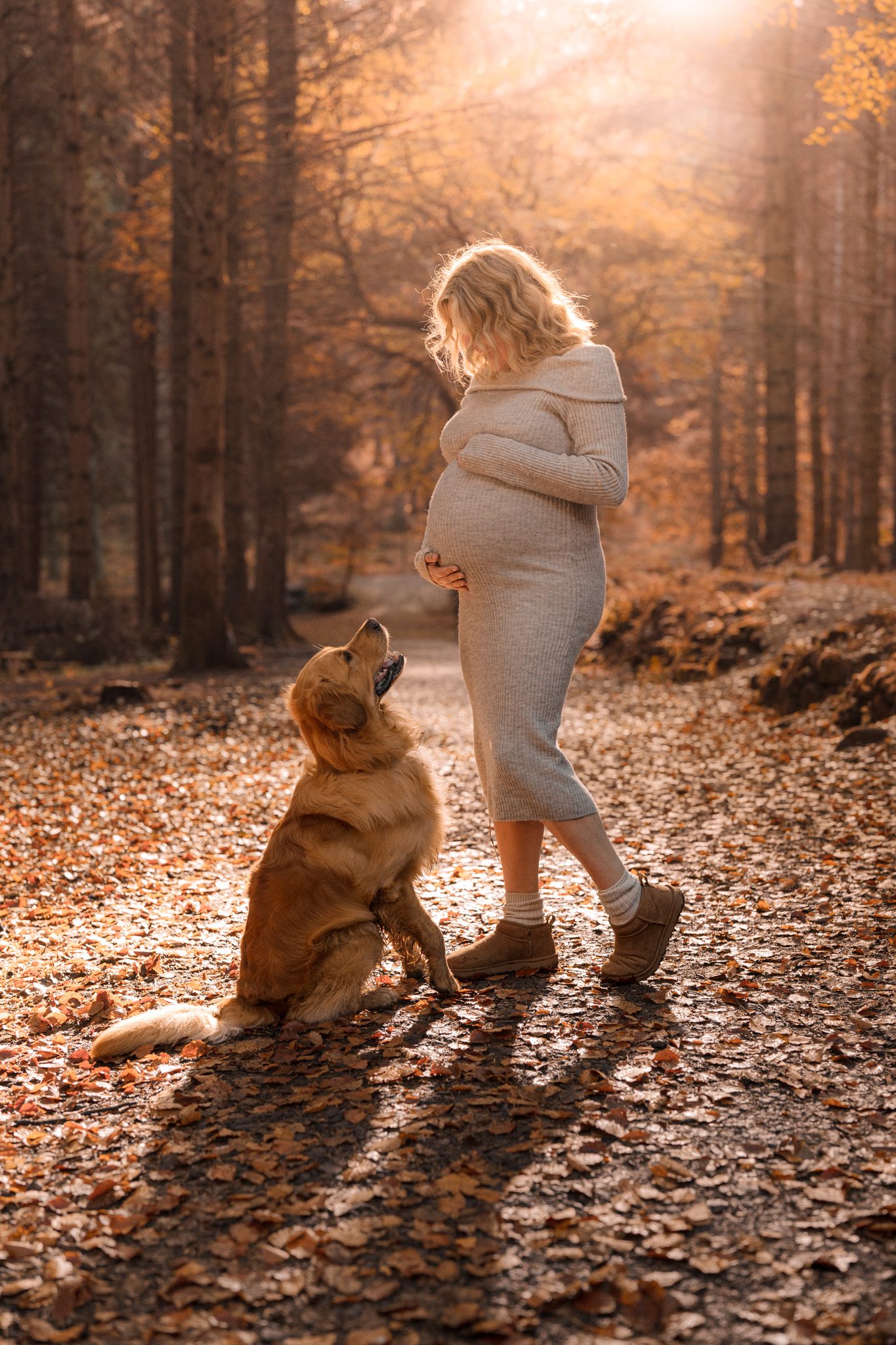A pregnant woman and her dog on an autumn forest path