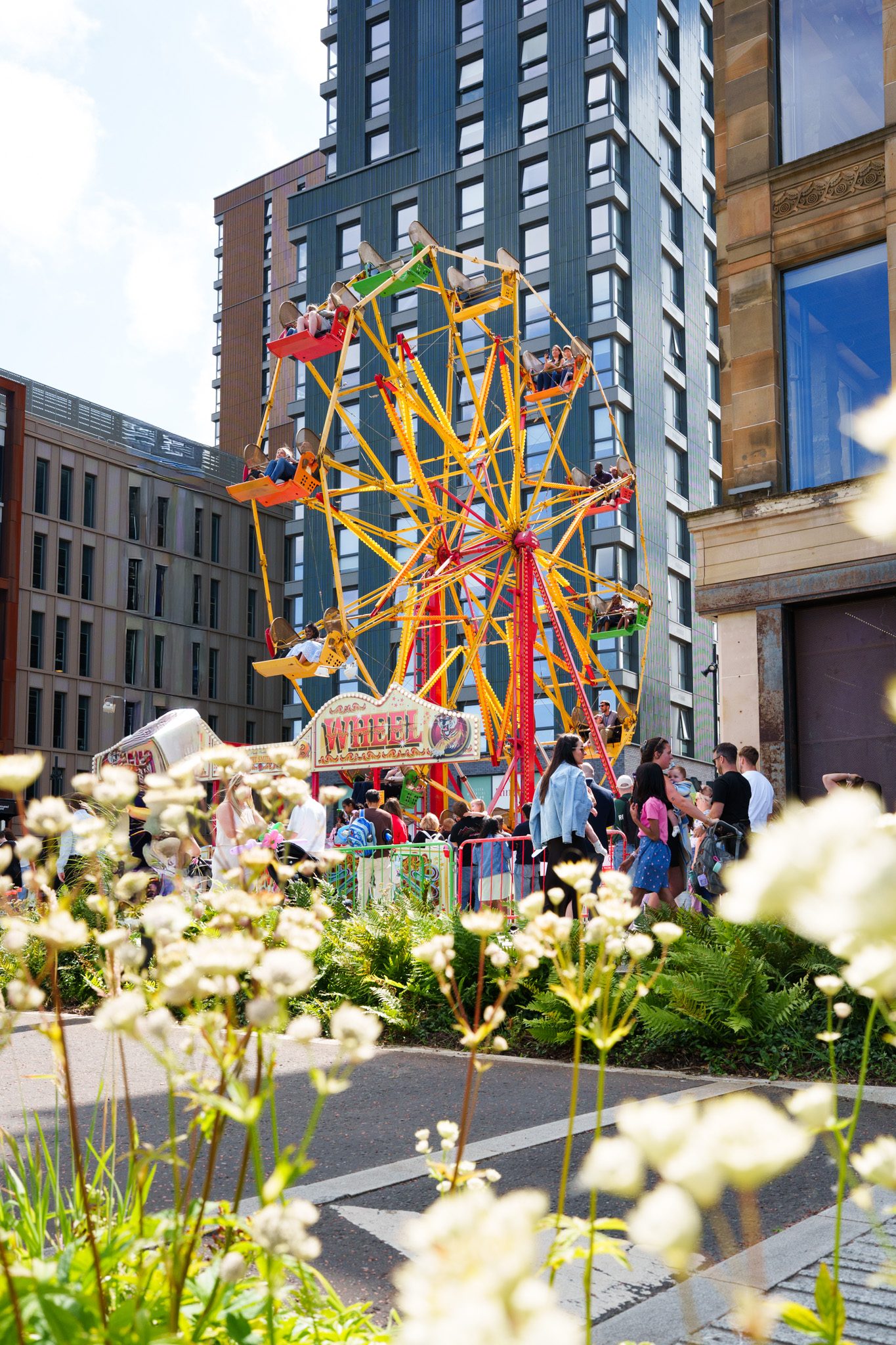 A Ferris wheel between city buildings at a family festival on the Barclays campus in Glasgow, flowers in the foreground